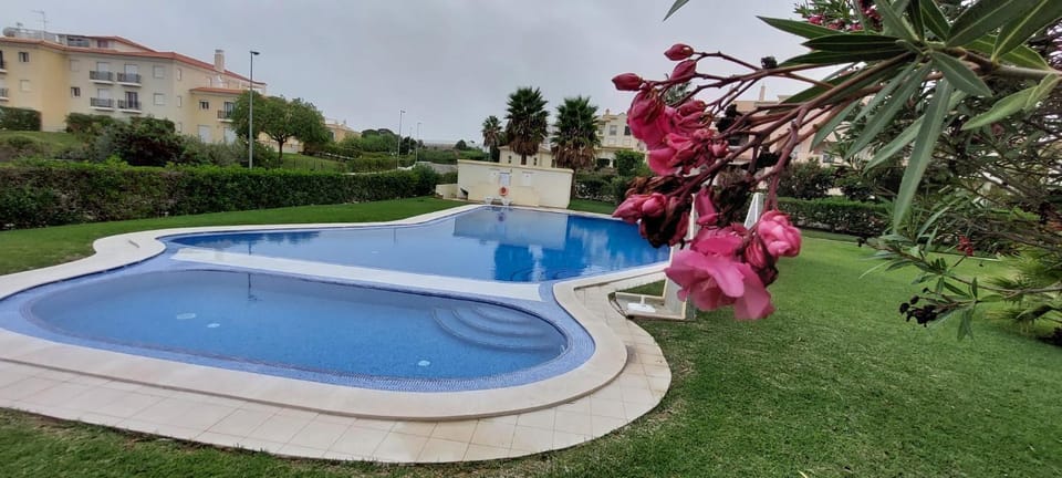 Garden, Garden view, Swimming pool