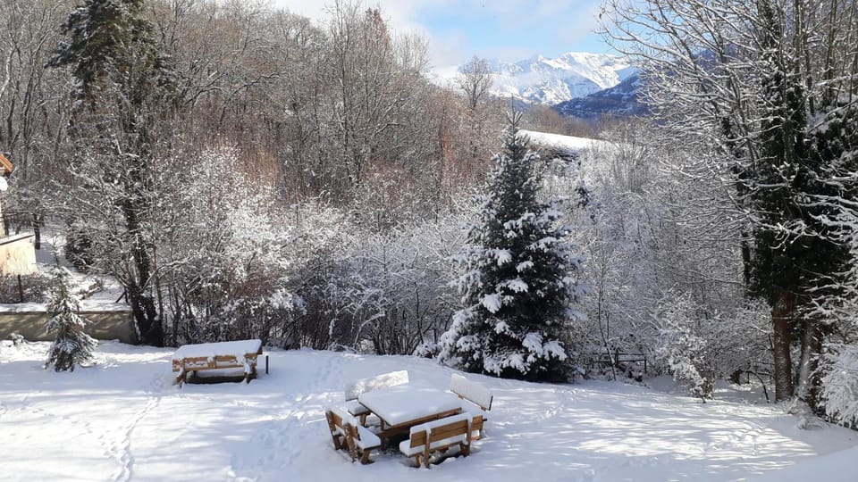 Winter, Garden