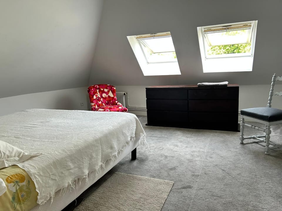 Bed, Photo of the whole room, Bedroom