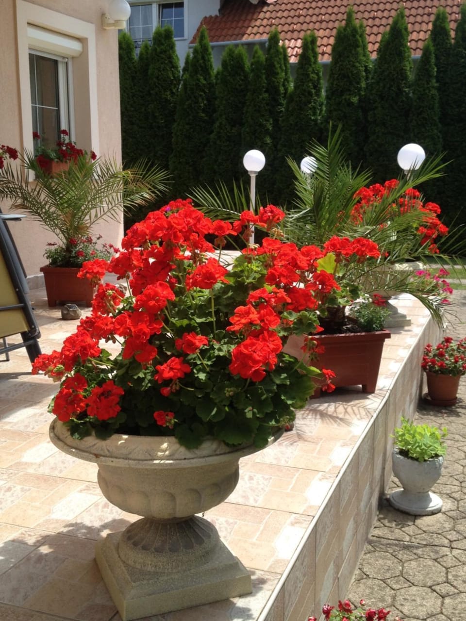 Patio