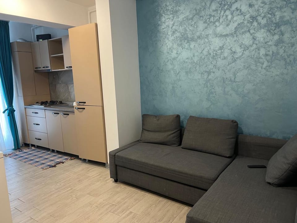Kitchen or kitchenette, Living room, Seating area, stove