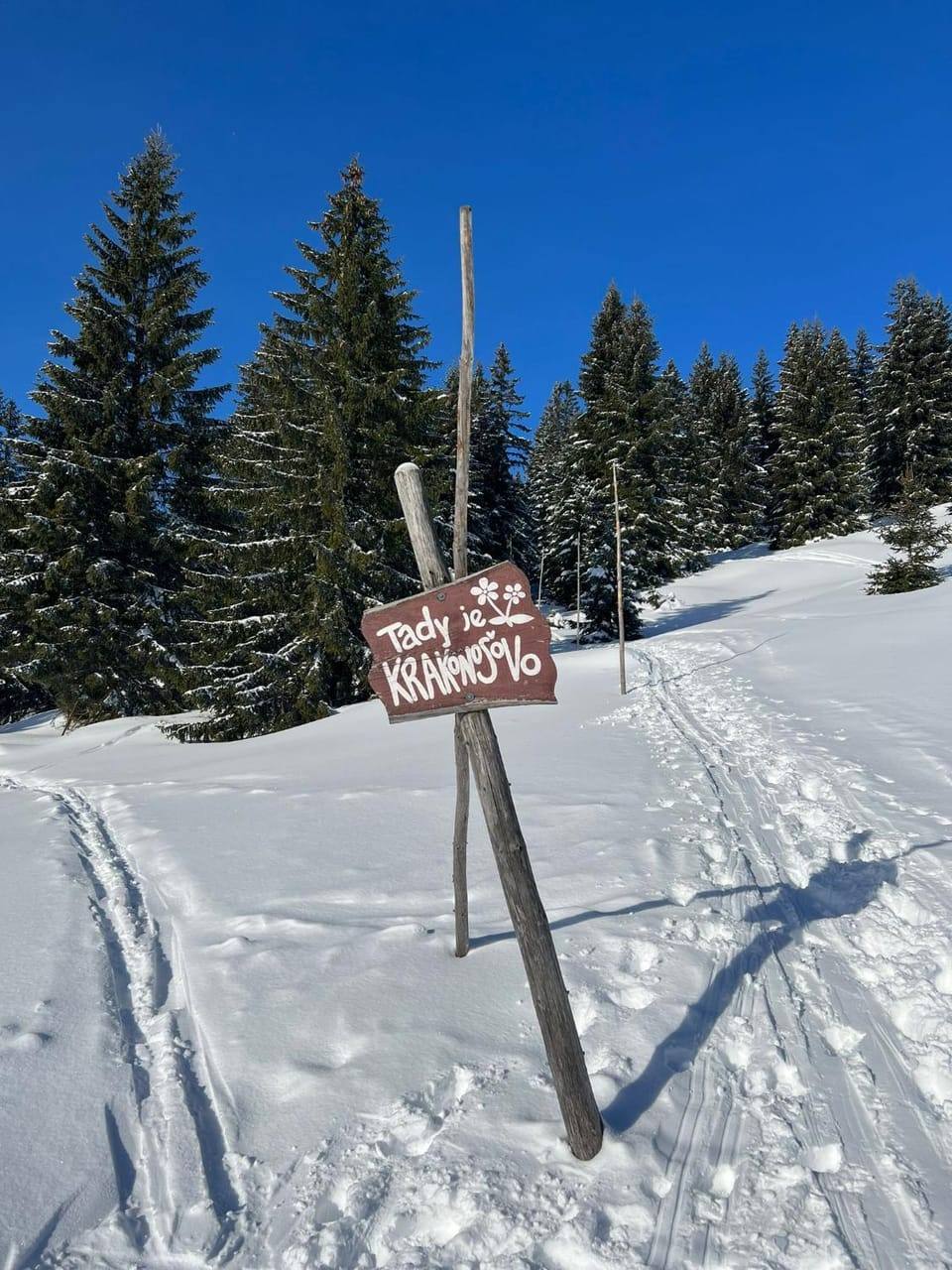Skiing