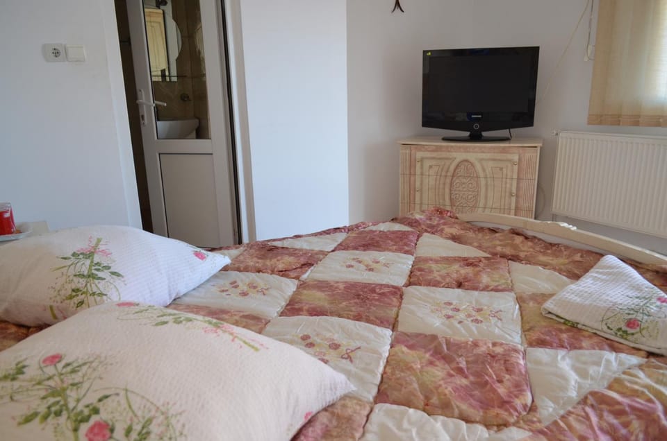 Vila Costel&Mirela Bed and Breakfast in Constanța County