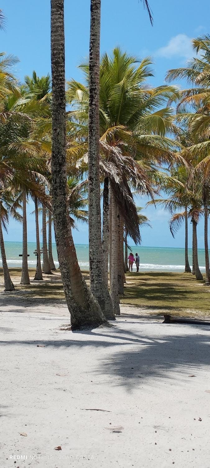 Natural landscape, Beach, Sea view