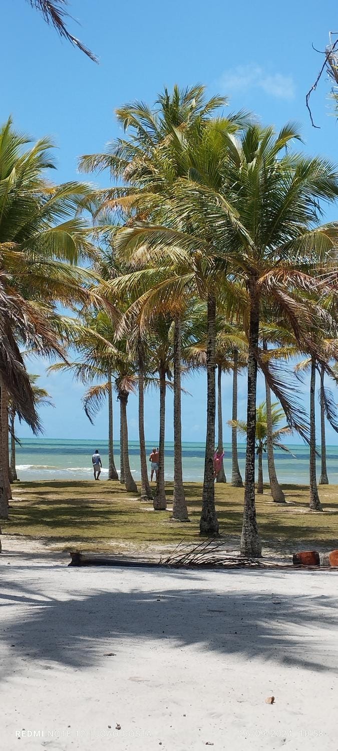 Natural landscape, Beach, Sea view