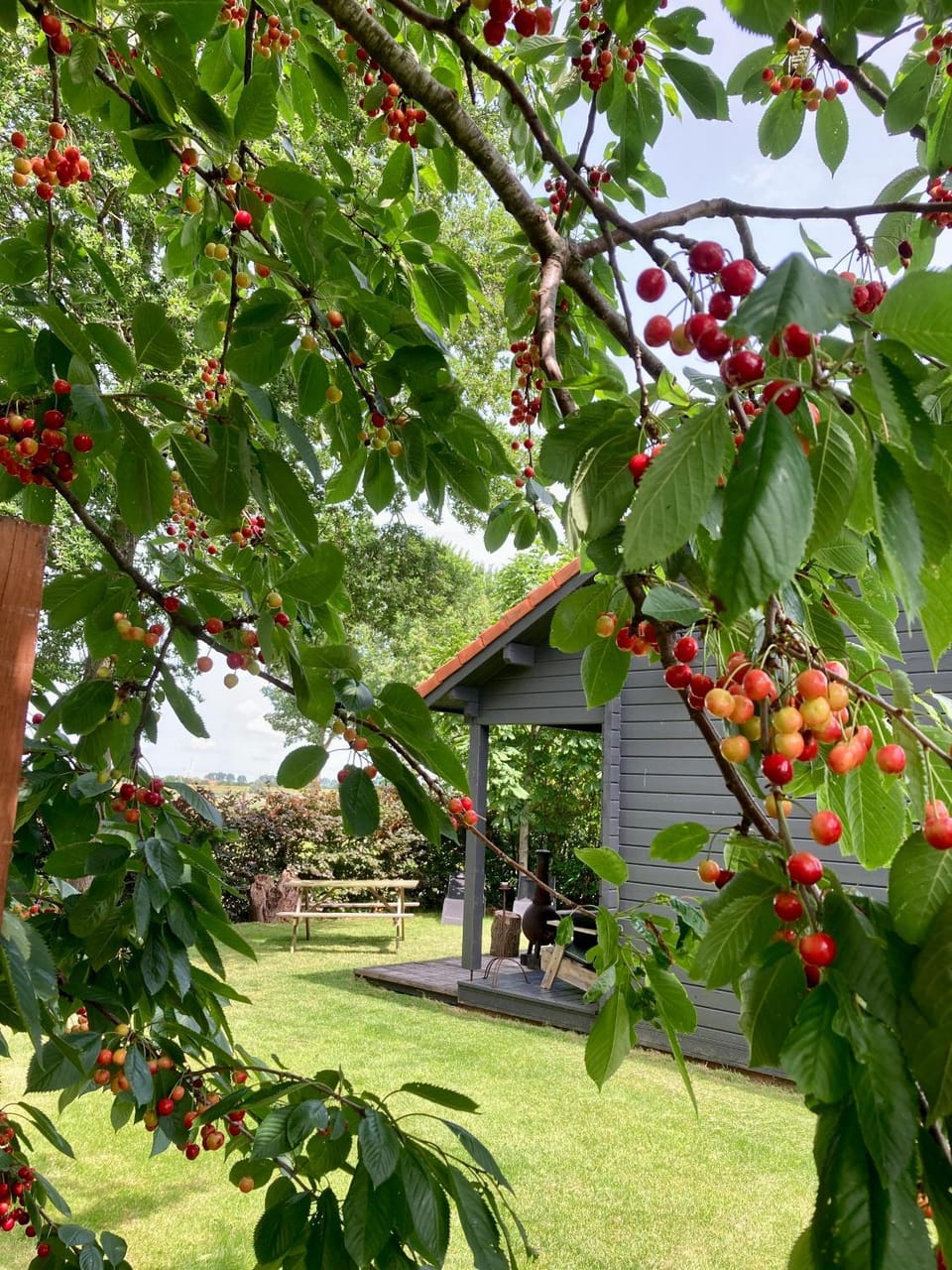 Garden, Garden view