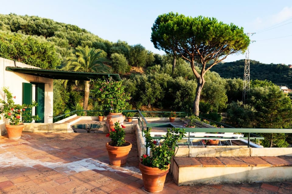 Natural landscape, Balcony/Terrace, Garden view