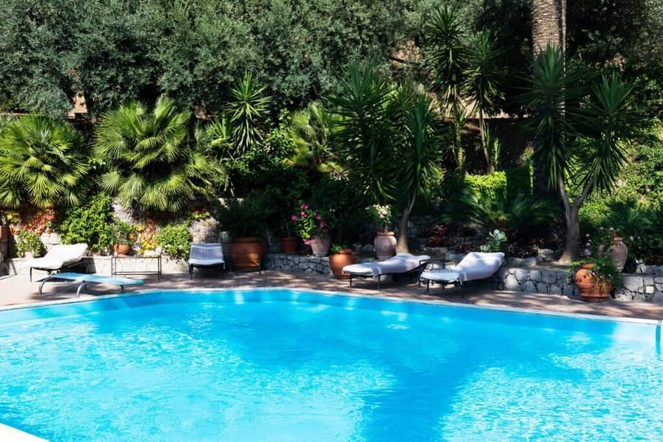 Garden, Garden view, Pool view, Swimming pool, sunbed