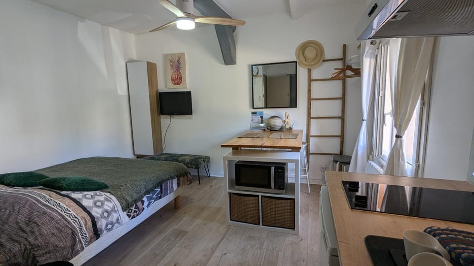 STUDIO avec PARKING TOUT A PIED et CALME Apartment in French Riviera