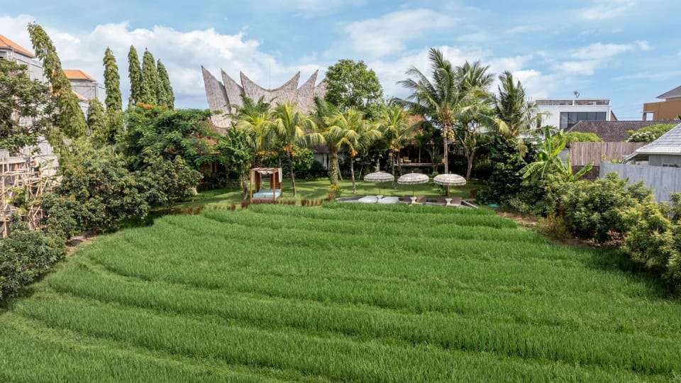Spring, Day, Natural landscape, Garden, Garden, Garden view