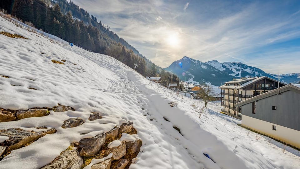 The View - Apt 09 - BO Immobilier- Châtel Multipass 2026 Activités en Été offert par votre hôte Apartment in Châtel