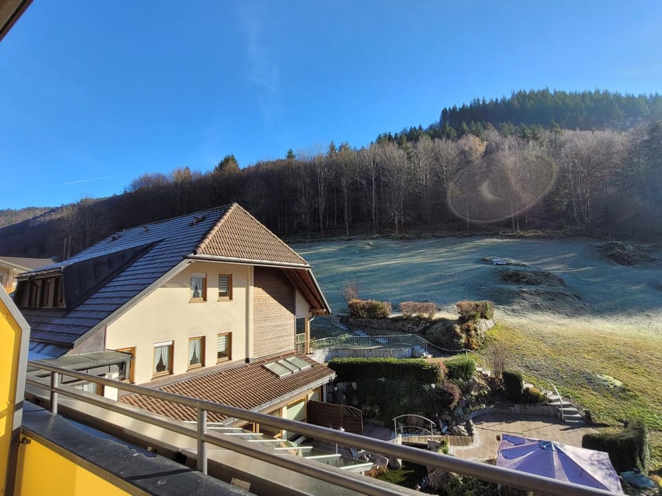 View (from property/room)