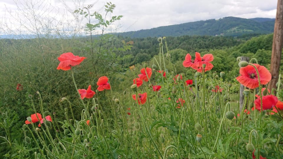 Natural landscape, Mountain view