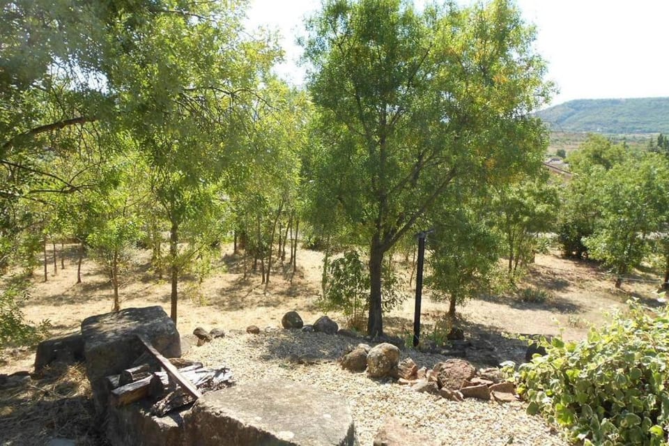 Day, Natural landscape, Garden view, Mountain view