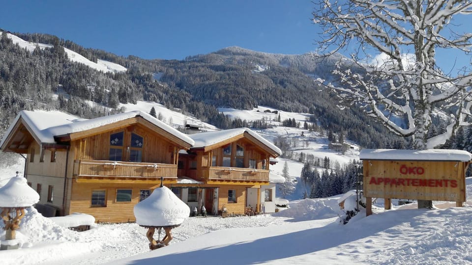 Property building, Natural landscape, Winter