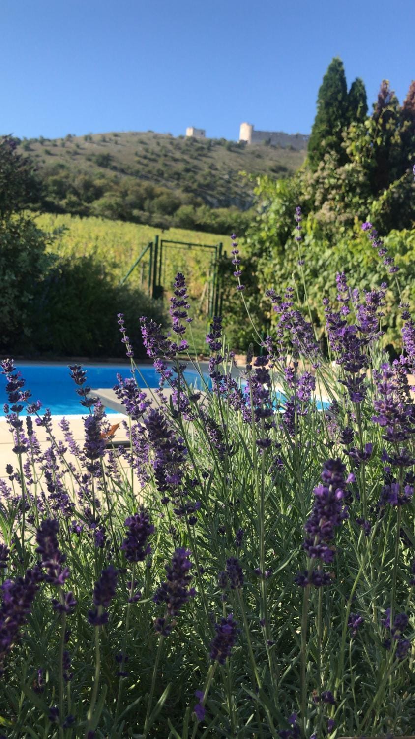 Pool view, Swimming pool, Swimming pool