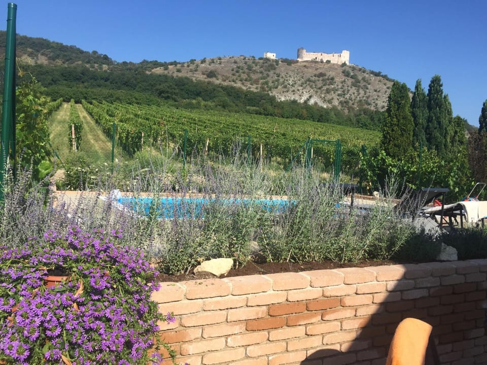 Mountain view