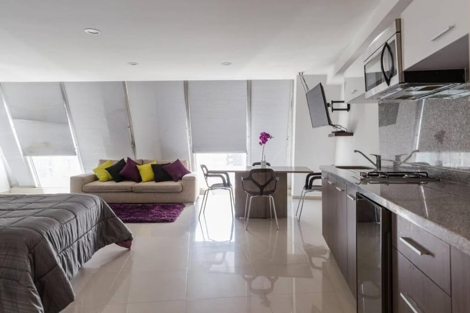 Increible Loft en PH Zona Polanco B Apartment in Mexico City