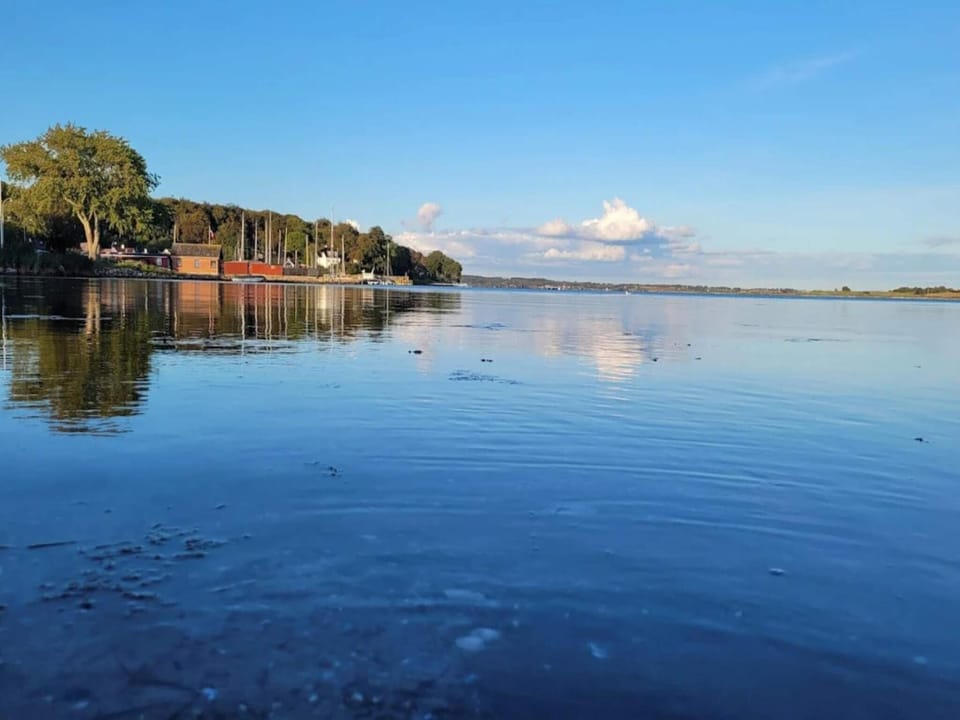 Lake view