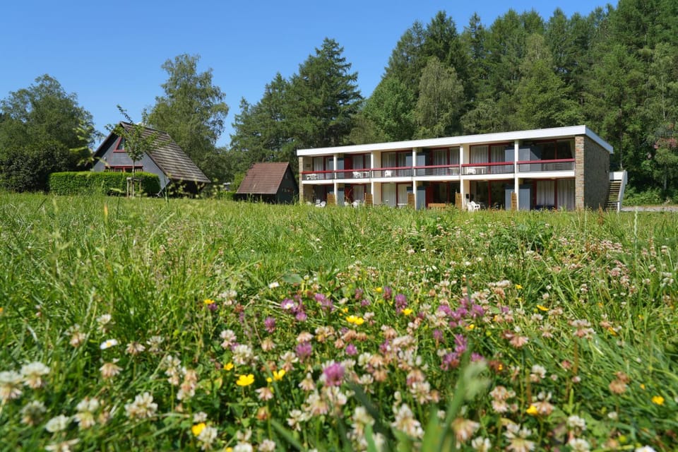 Spring, Day, Natural landscape, Garden, Garden view