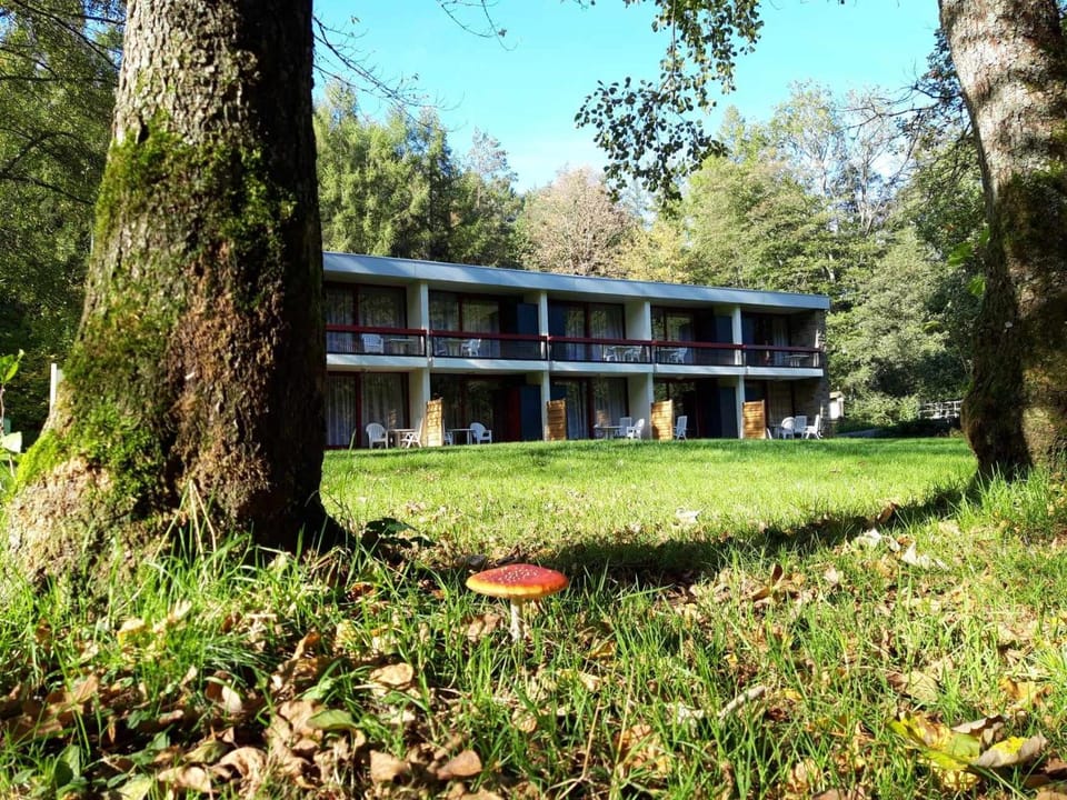 Domaine Long Pre House in Trois-Ponts
