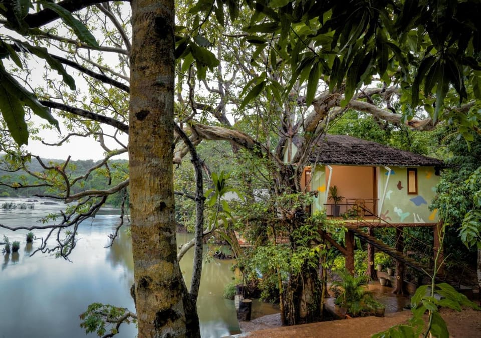 Lake view, River view