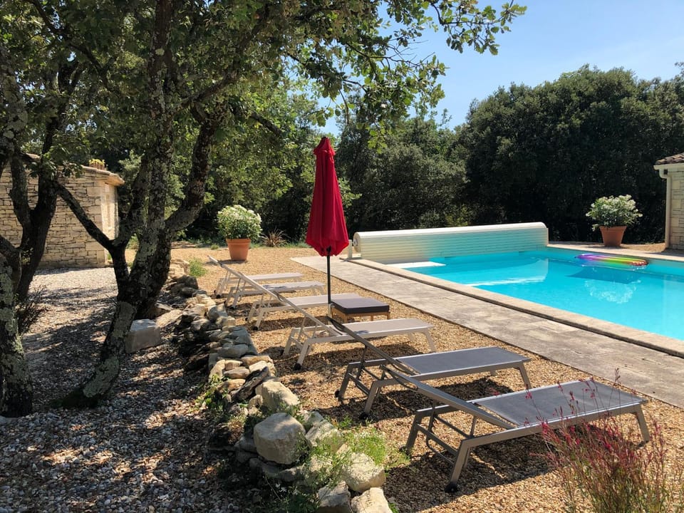 Garden, Pool view, Swimming pool, sunbed