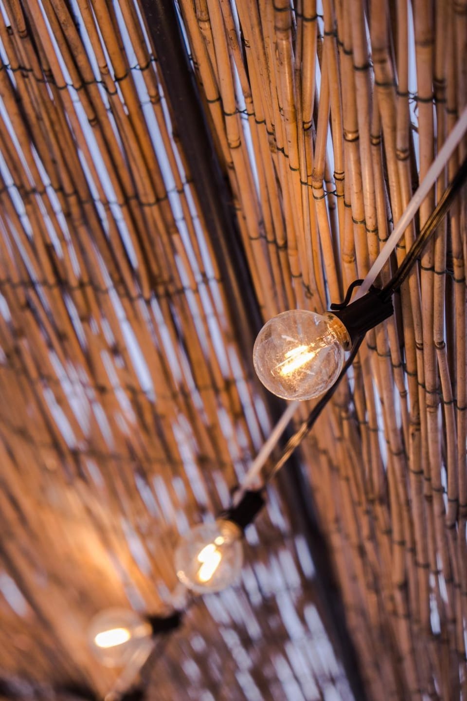 Garden, Decorative detail