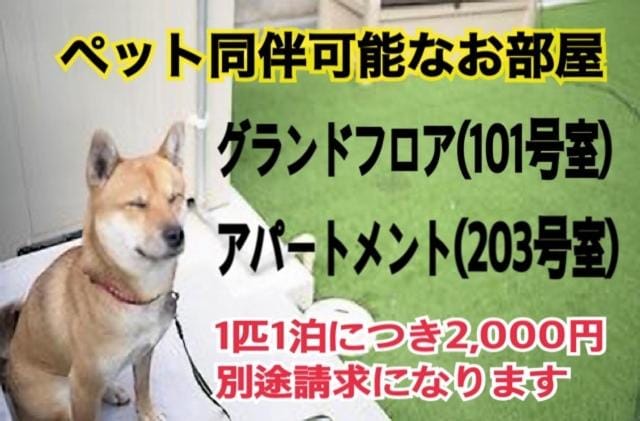 Text overlay, Pets
