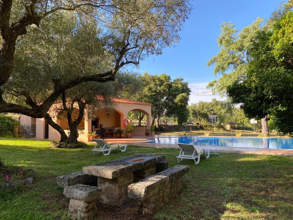 Patio, Garden, Swimming pool