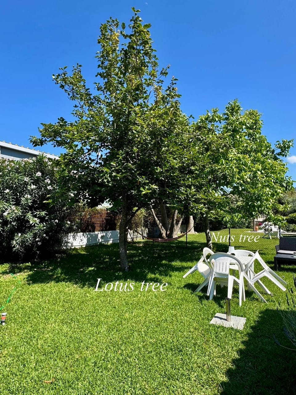 Sungate Villas Apartment in Corfu, Greece