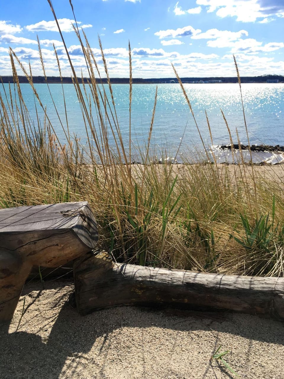 Day, Neighbourhood, Natural landscape, Beach, On site