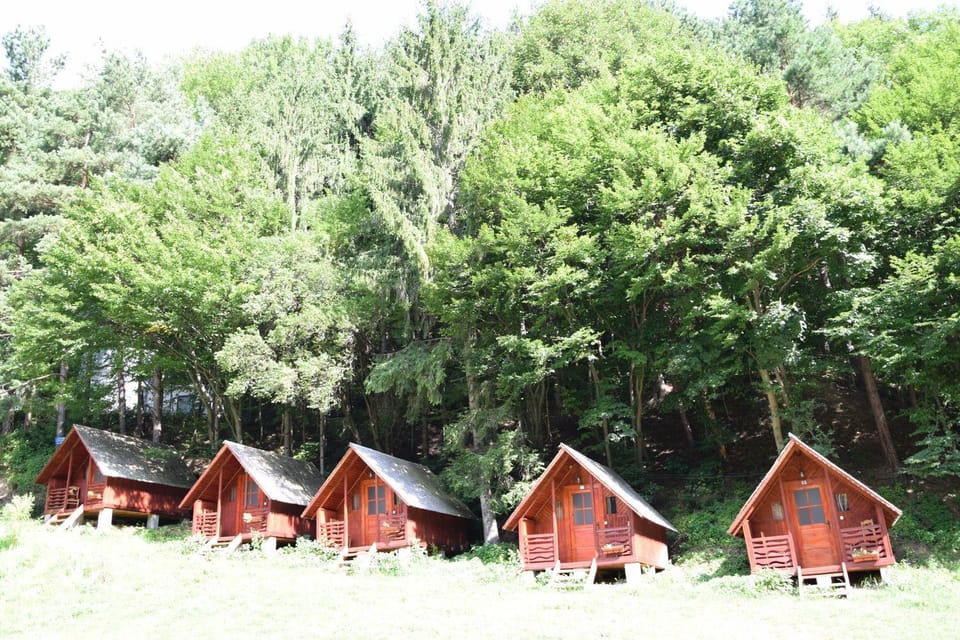CABANUTE si CAMPING DRACULA Campground/ 
RV Resort in Romania