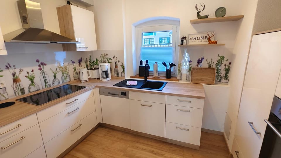 Kitchen or kitchenette, dishwasher, stove