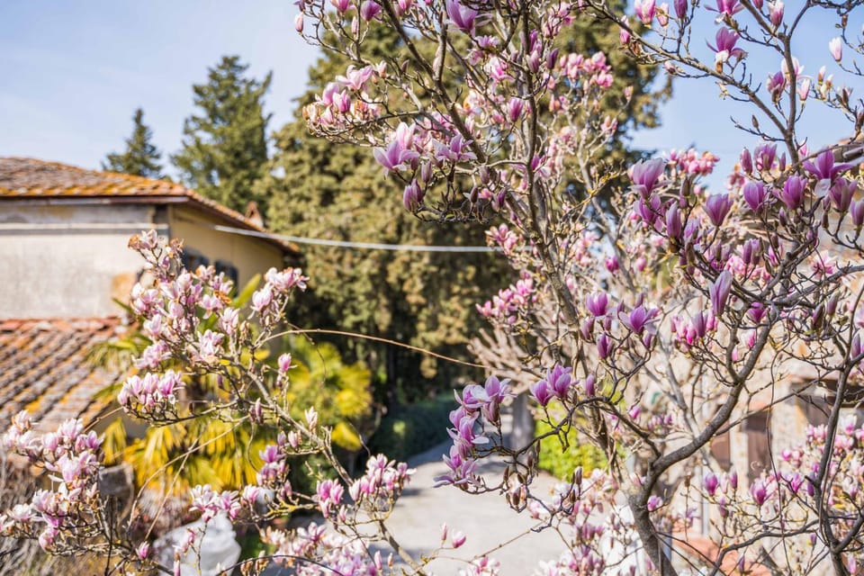 La Magnolia Bed and Breakfast in Tuscany