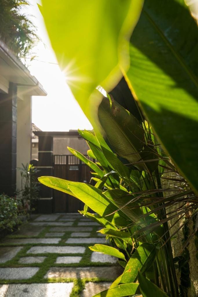 Facade/entrance, Spring, Day, Garden, Garden view, Inner courtyard view
