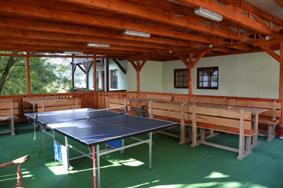 Table tennis