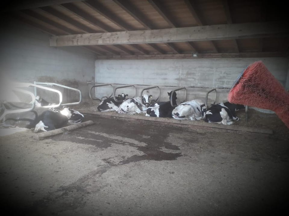 Felderhof Apartment in Trentino-South Tyrol