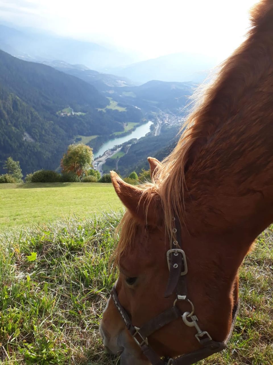Felderhof Apartment in Trentino-South Tyrol