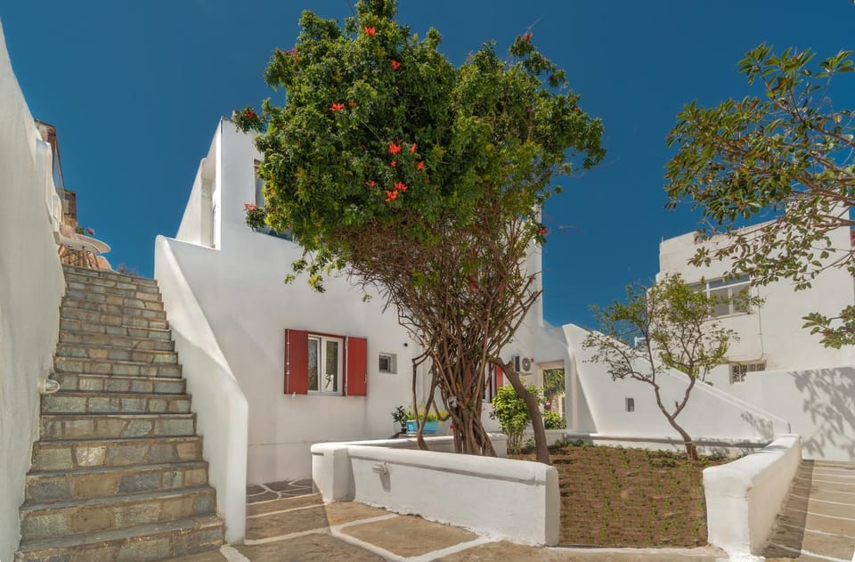 Day, Garden, Garden view