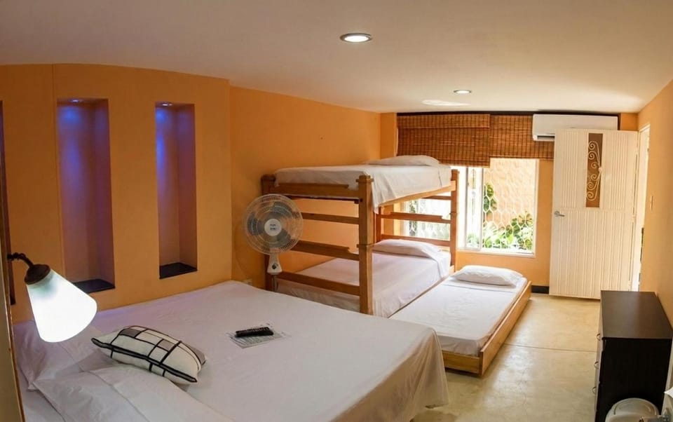 Bed, Photo of the whole room, bunk bed