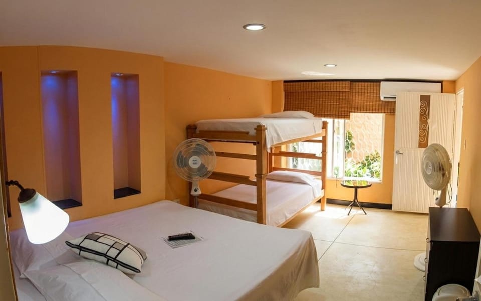 Bed, Photo of the whole room, bunk bed