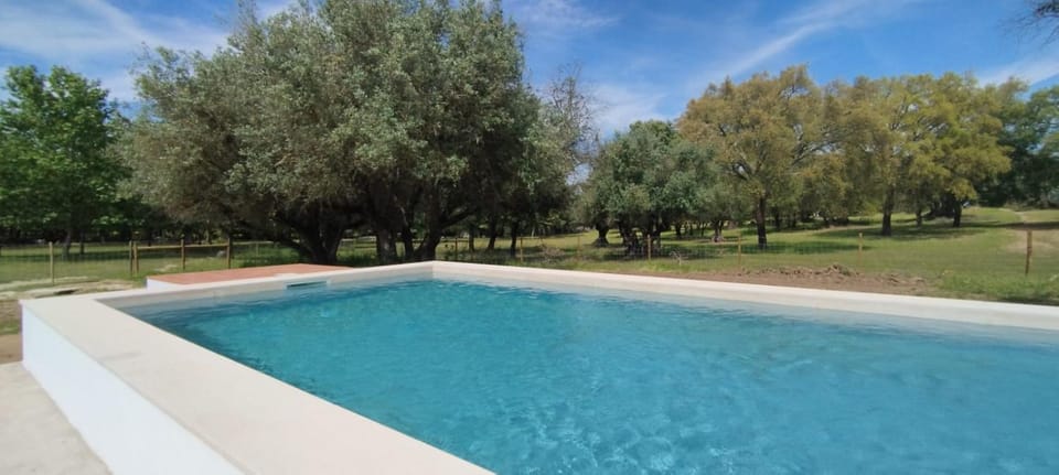 Monte do Serrado de Baixo - T4 House in Évora District, Portugal