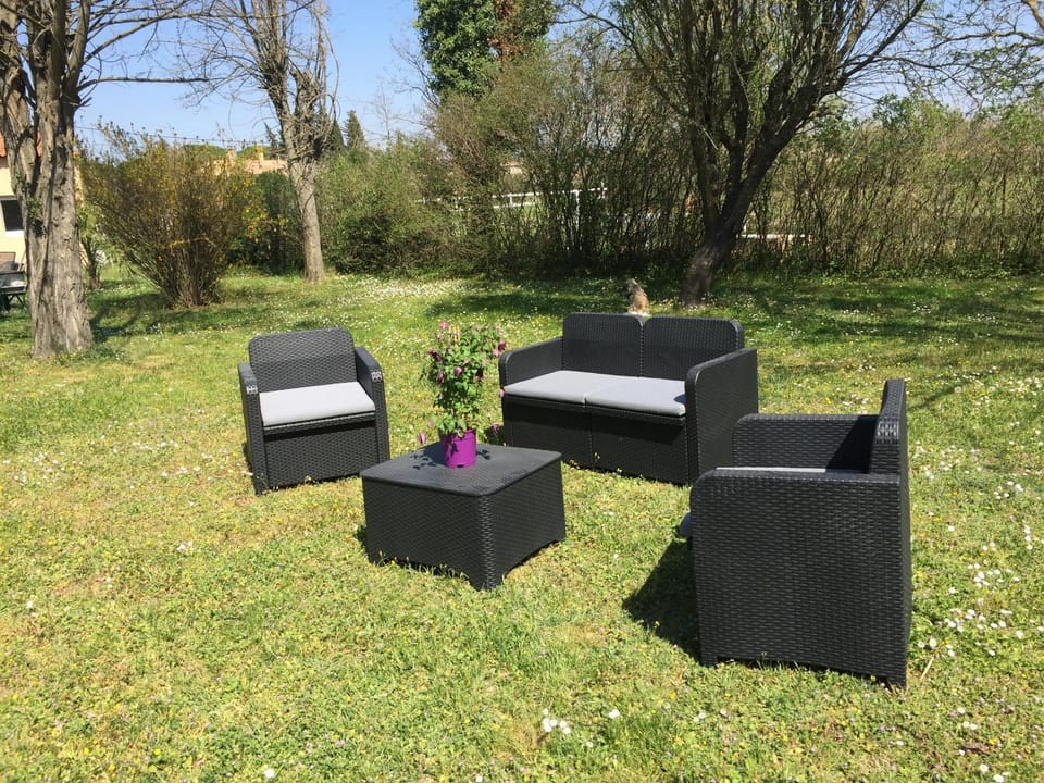 Patio, Garden, Garden