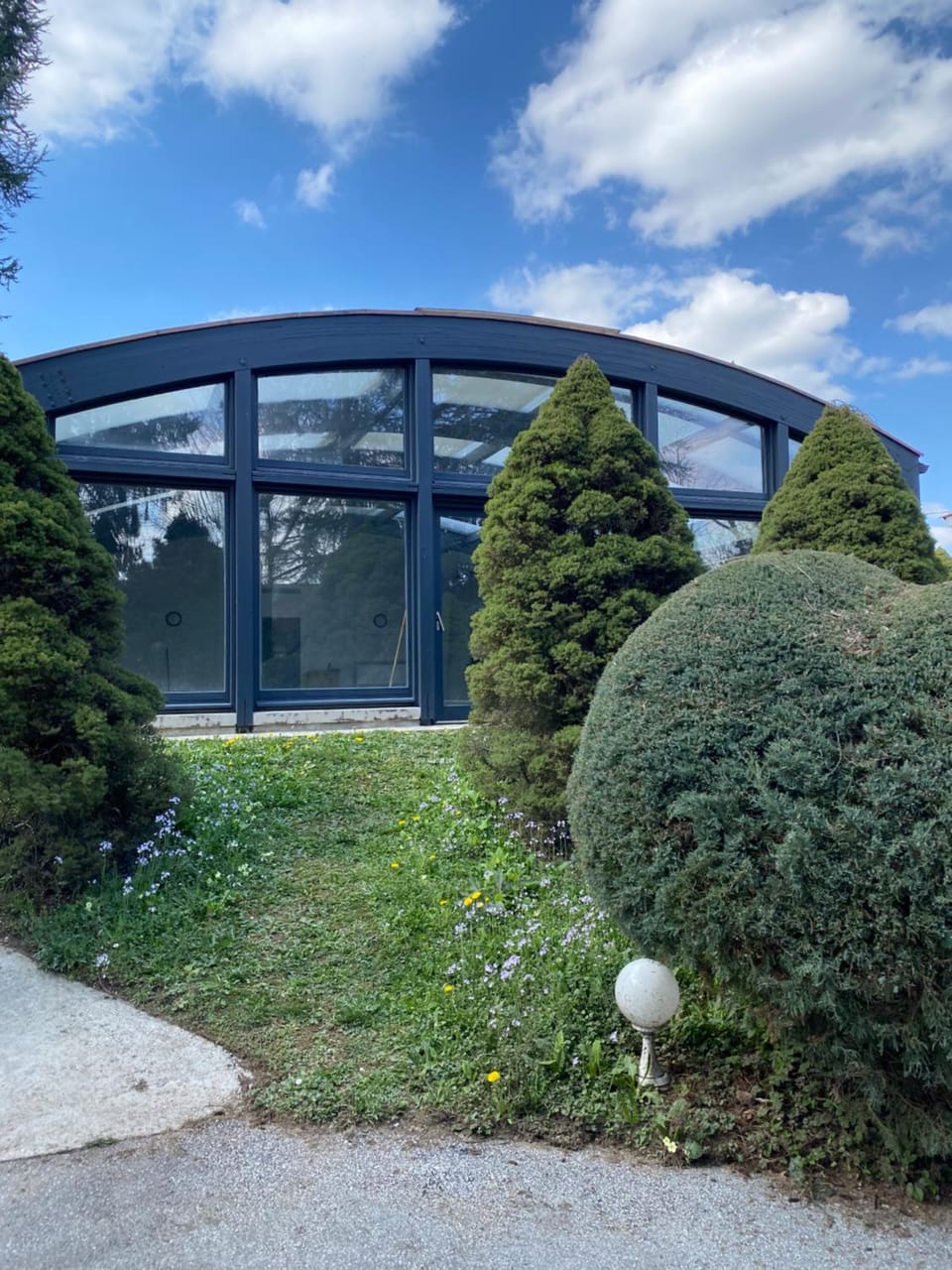 Garden, Pool view, Swimming pool