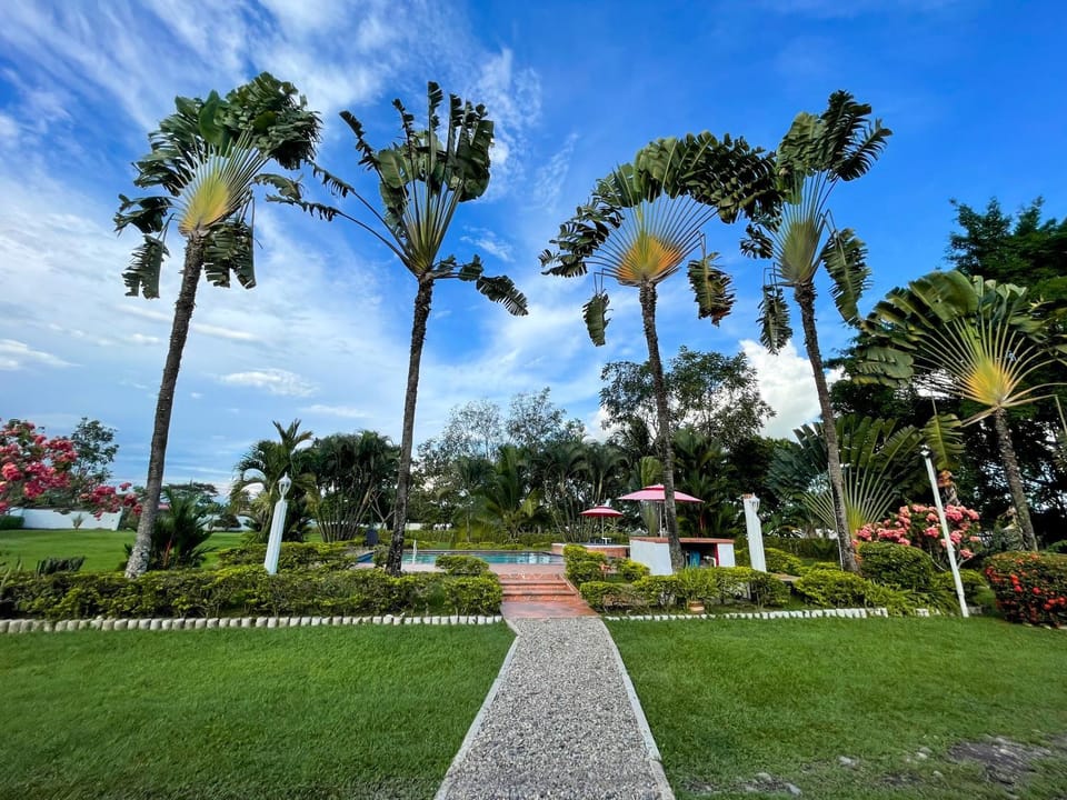 Garden, Garden