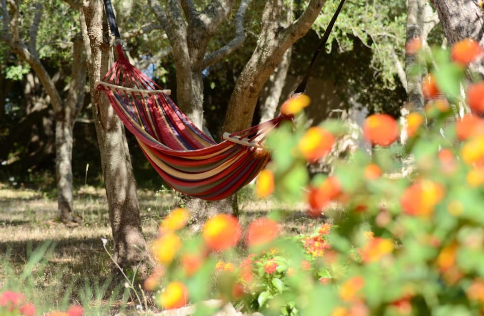 Finca Katia House in Llevant