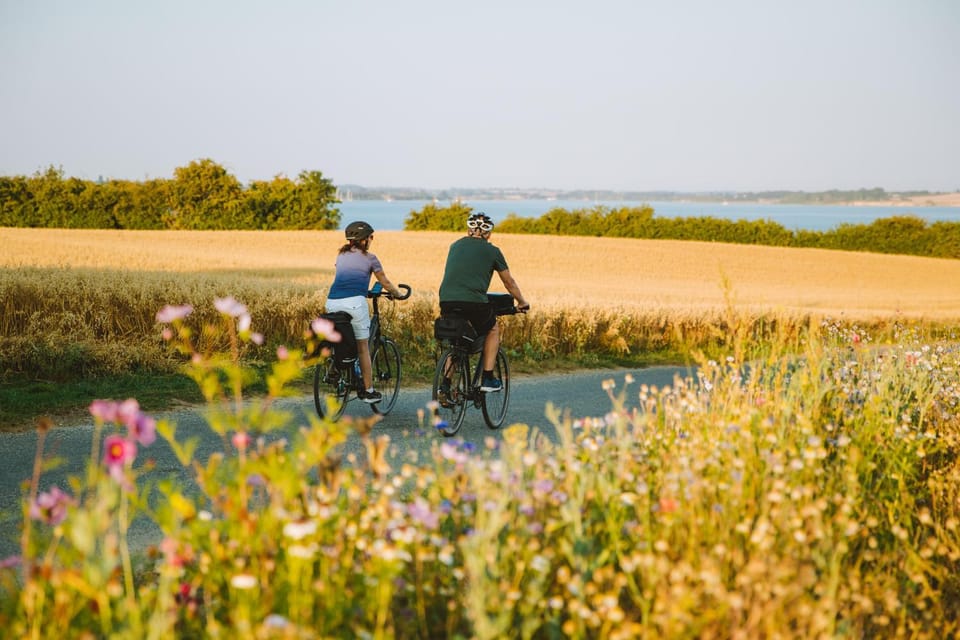 Day, People, Neighbourhood, Natural landscape, Cycling, Sea view, group of guests