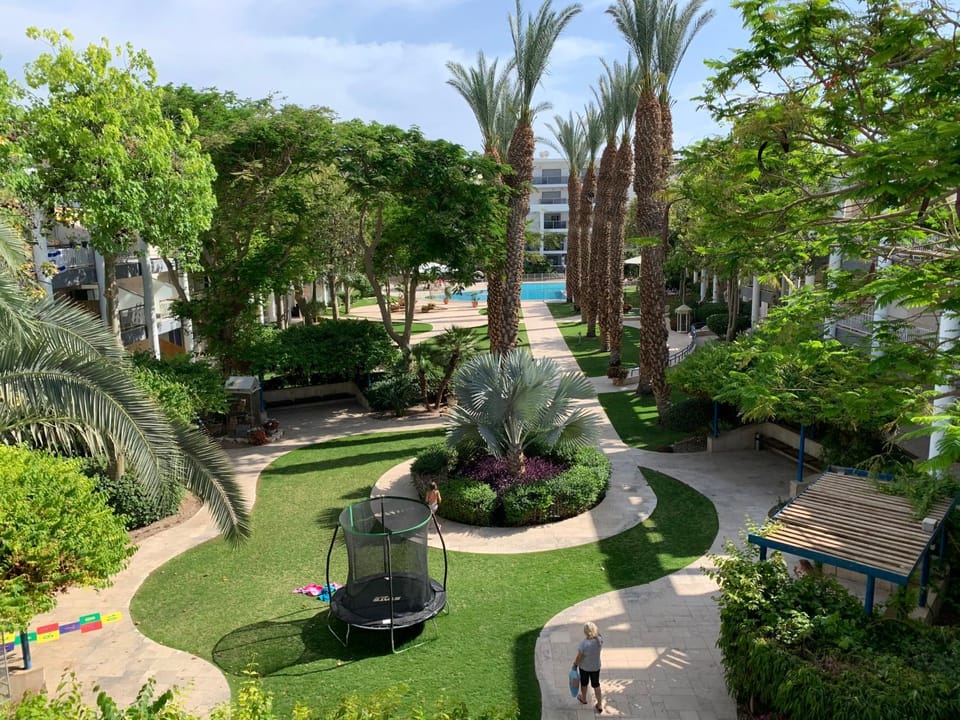 Garden, Garden view, Swimming pool