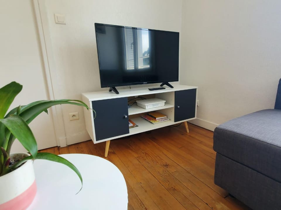 TV and multimedia